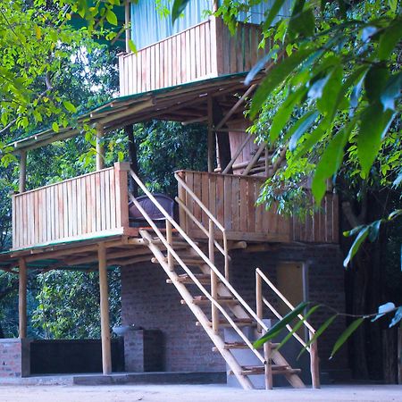 Forest Tree Top Holiday Resort Buttala Buitenkant foto