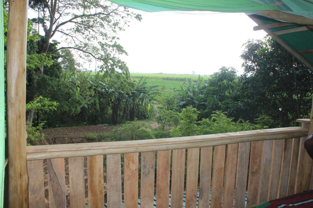 Forest Tree Top Holiday Resort Buttala Buitenkant foto