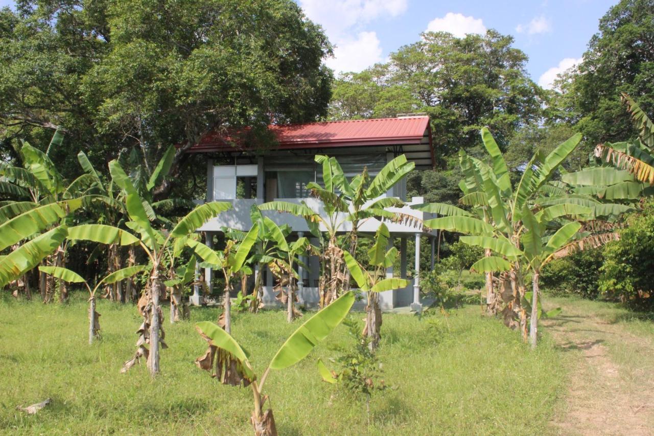Forest Tree Top Holiday Resort Buttala Buitenkant foto
