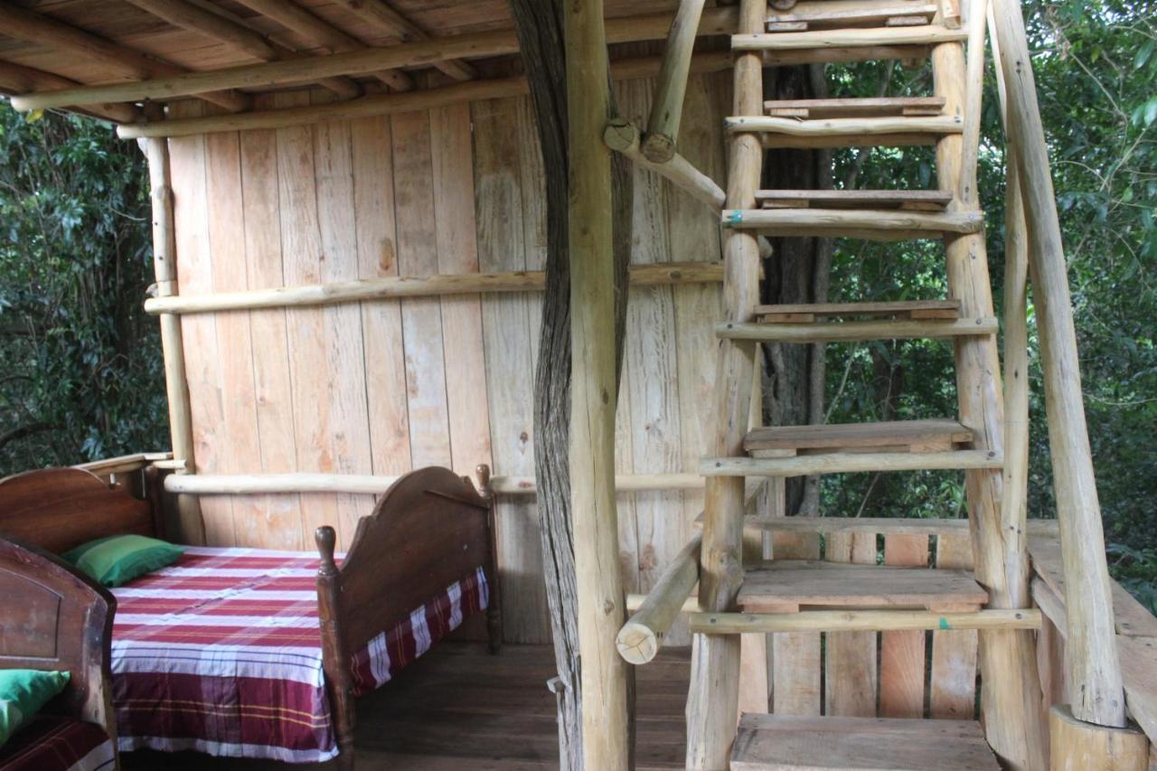 Forest Tree Top Holiday Resort Buttala Buitenkant foto