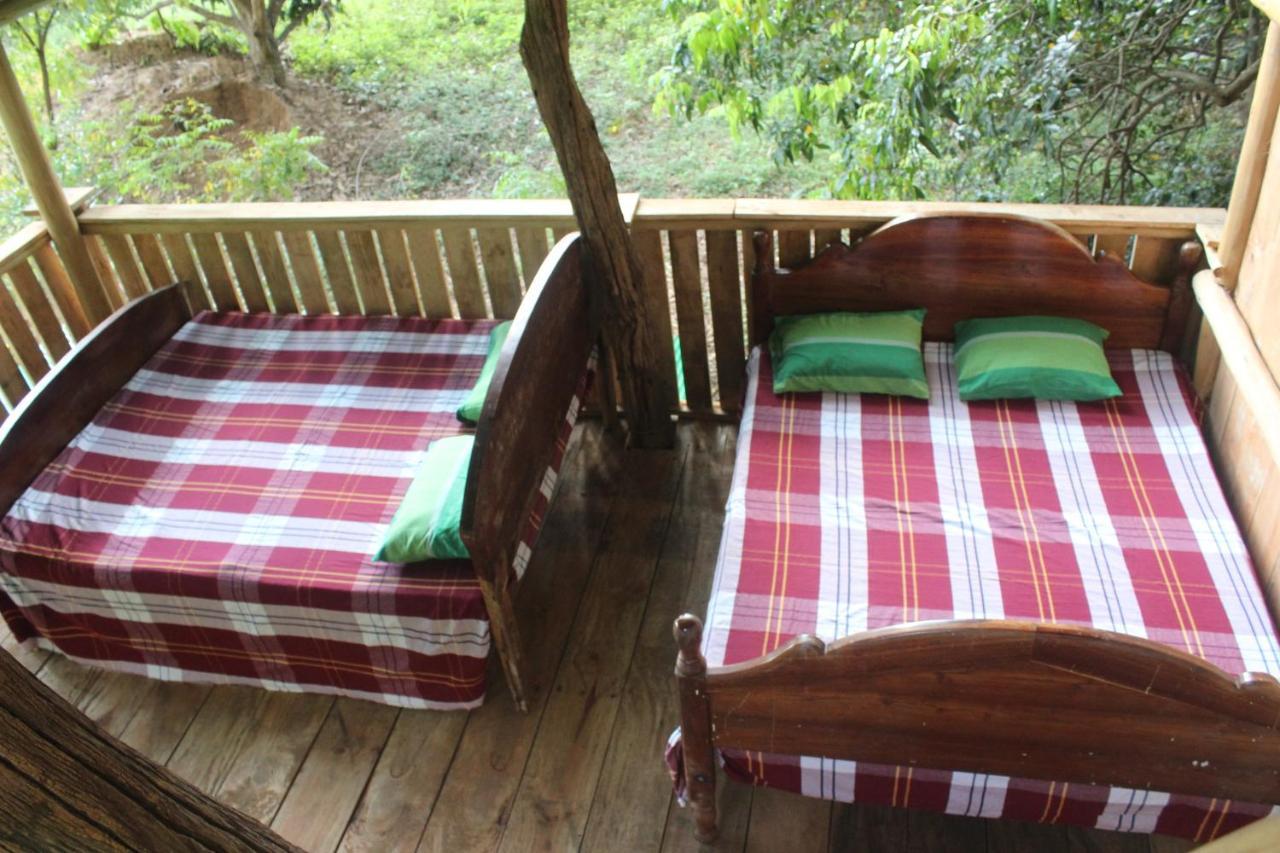 Forest Tree Top Holiday Resort Buttala Buitenkant foto