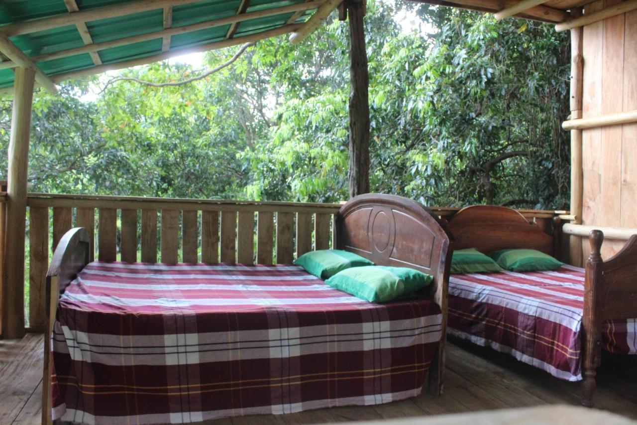 Forest Tree Top Holiday Resort Buttala Buitenkant foto