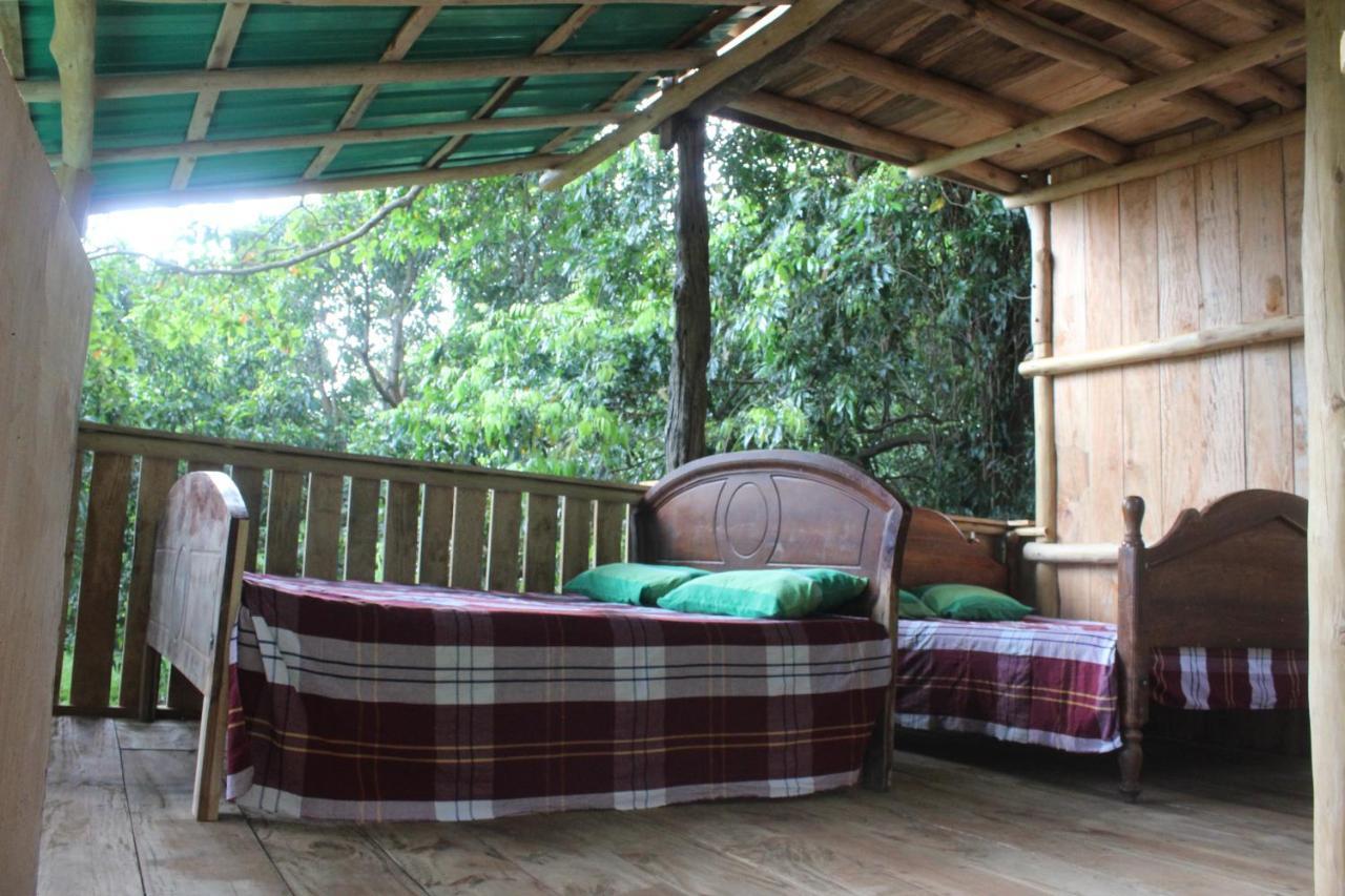 Forest Tree Top Holiday Resort Buttala Buitenkant foto