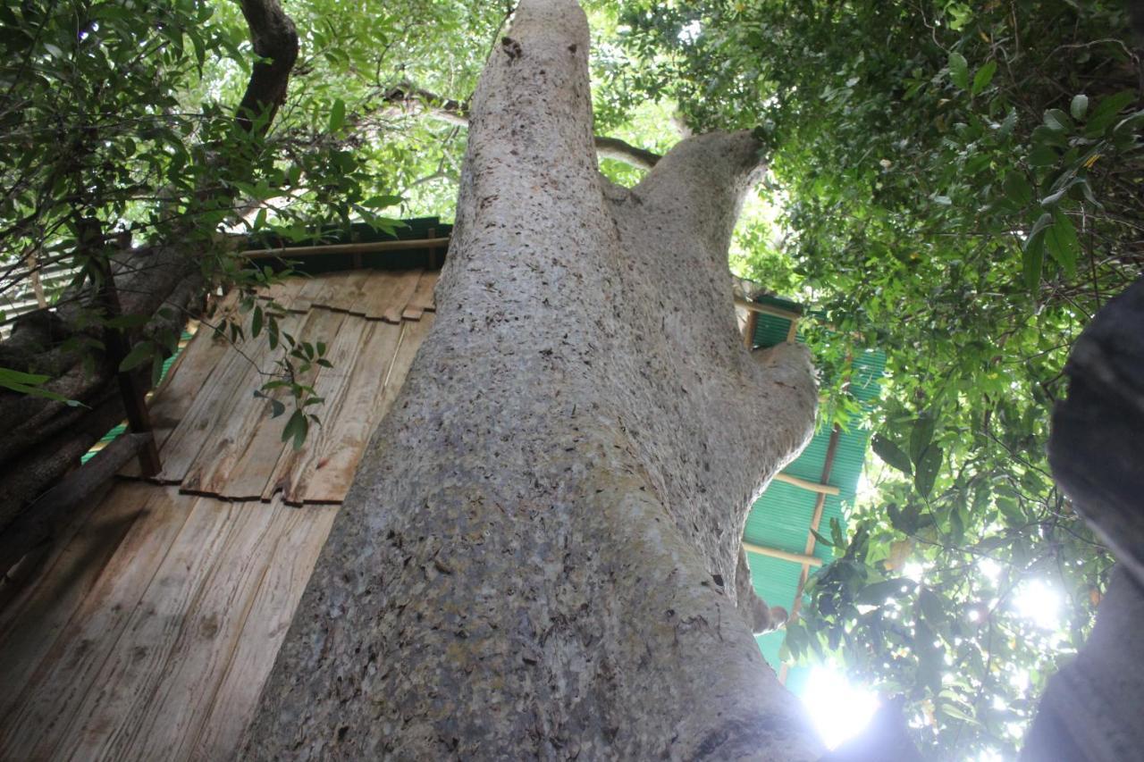 Forest Tree Top Holiday Resort Buttala Buitenkant foto