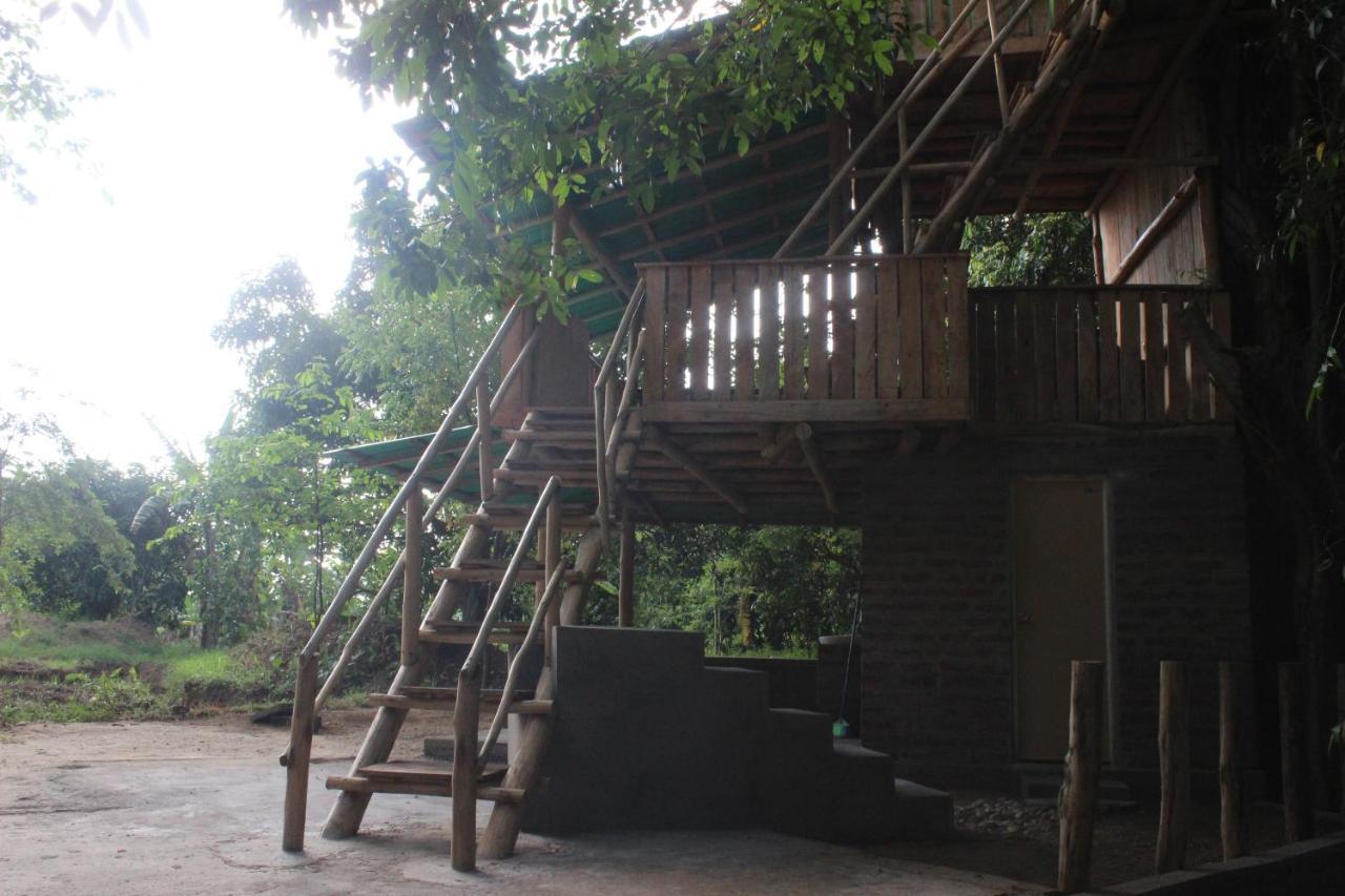Forest Tree Top Holiday Resort Buttala Buitenkant foto