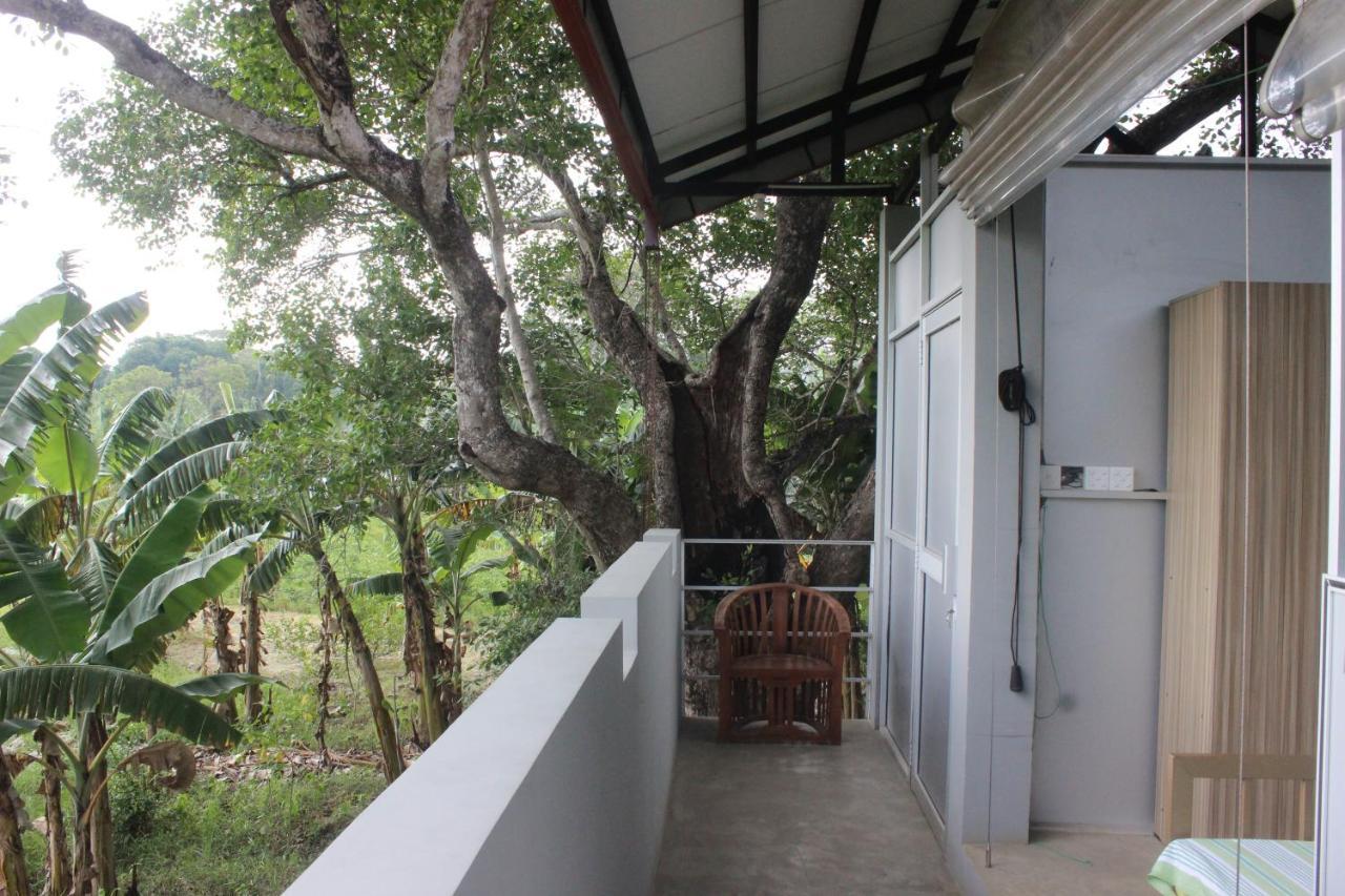 Forest Tree Top Holiday Resort Buttala Buitenkant foto